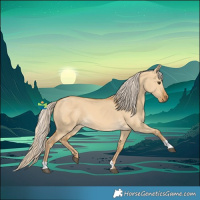 Horse Color:Palomino Dun 