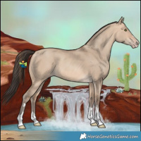 Horse Color:Amber Champagne Dun
