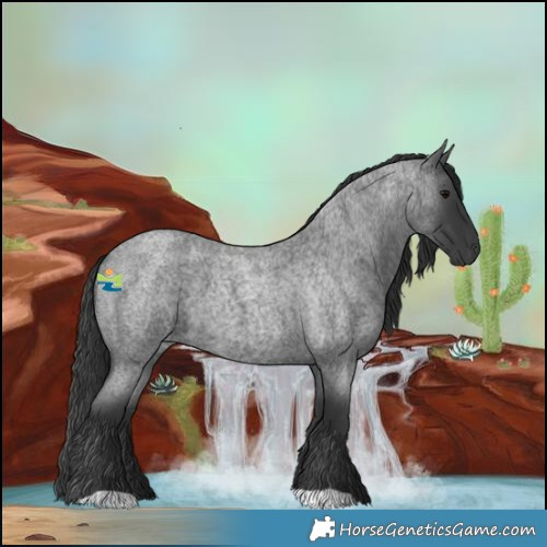 Horse Color:Blue Roan 
