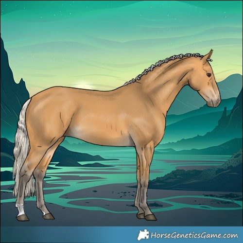 Horse Color:Silver Buckskin