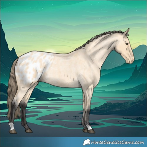 Horse Color:Buckskin Roan Blanket 