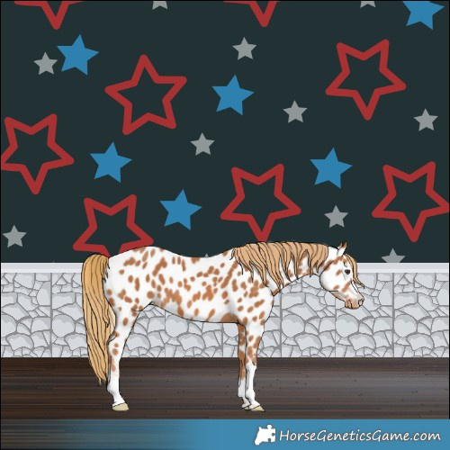 Horse Color:Chestnut Near Leopard 