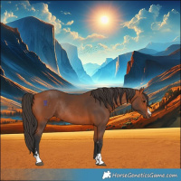 Horse Color:Bay Rabicano 