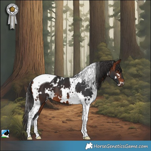 Horse Color:White Spotted Bay Tobiano 