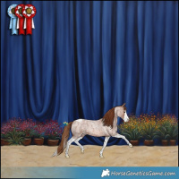 Horse Color:Red Roan Splash Varnish