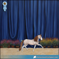 Horse Color:Red Roan Splash Varnish