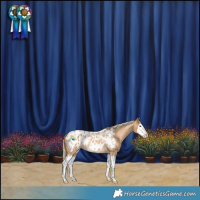 Horse Color:Palomino Roan Splash Blanket 