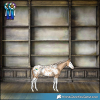 Horse Color:Palomino Roan Splash Blanket