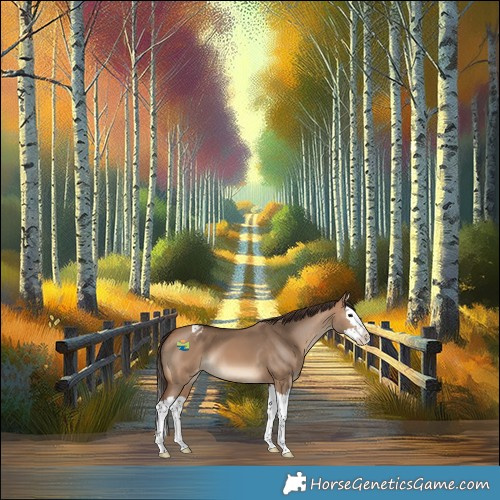 Horse Color:Bay Dun Splash Varnish