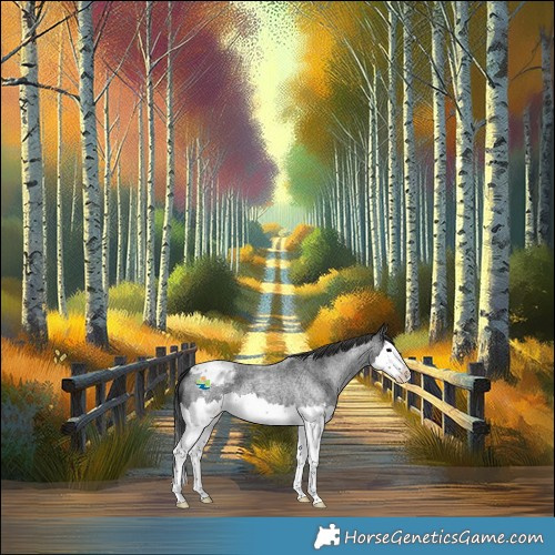 Horse Color:Blue Roan Splash Blanket