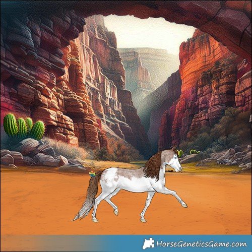 Horse Color:Red Roan Splash Snowcap 