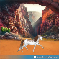Horse Color:Red Roan Splash Snowcap 