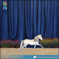 Horse Color:Palomino Roan Splash Blanket 