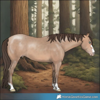 Horse Color:Amber Champagne 