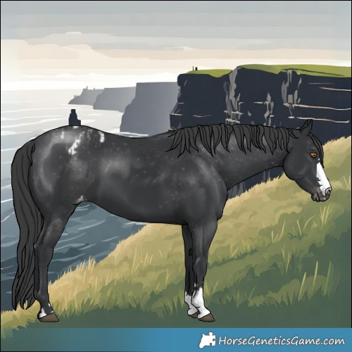 Horse Color:Black Varnish