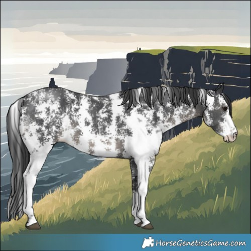 Horse Color:Black Sabino