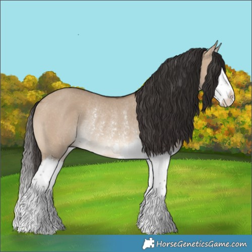 Horse Color:Brown Dun Splash Rabicano