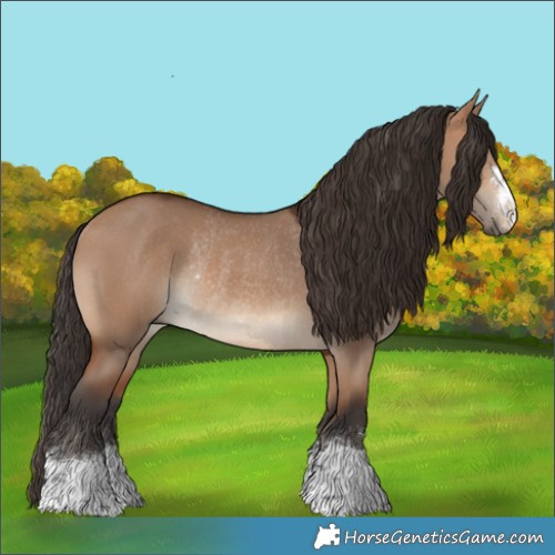 Horse Color:Bay Dun Rabicano