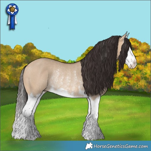 Horse Color:Bay Dun Splash Rabicano
