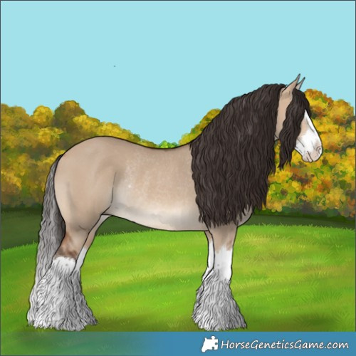 Horse Color:Bay Dun Splash Rabicano 