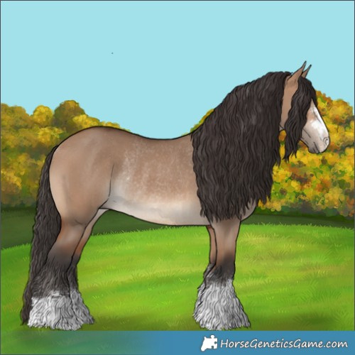 Horse Color:Bay Dun Rabicano