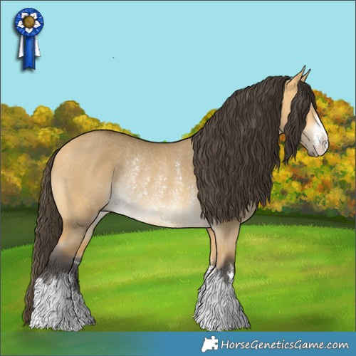 Horse Color:Buckskin Dun Rabicano