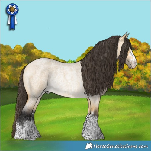 Horse Color:Buckskin Roan Dun Rabicano