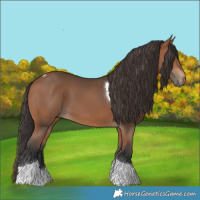Horse Color:Bay Tobiano