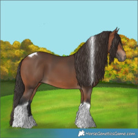 Horse Color:Bay Tobiano 