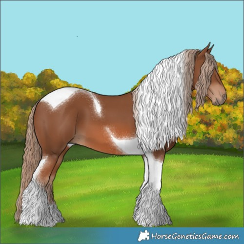 Horse Color:Chestnut Tobiano 