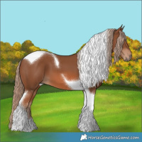 Horse Color:Chestnut Tobiano