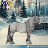 Horse Color:Silver Black Tobiano  and Blue Roan 