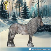 Horse Color:Silver Black Tobiano and Blue Roan