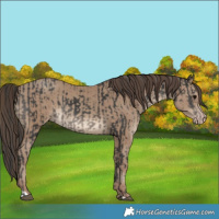 Horse Color:Black and Classic Champagne
