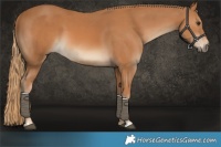 Horse Color:Chestnut and Chestnut