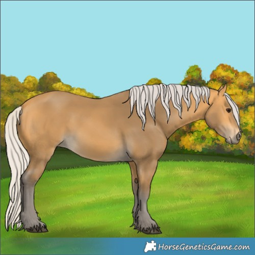 Horse Color:Silver Buckskin 