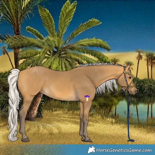 Horse Color:Silver Buckskin