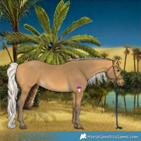 Horse Color:Silver Buckskin 