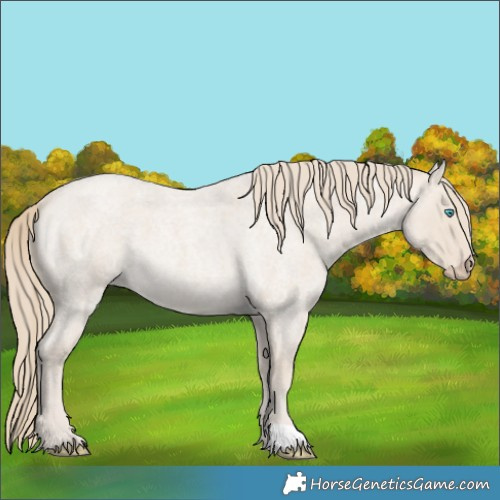 Horse Color:Smoky Creme Roan