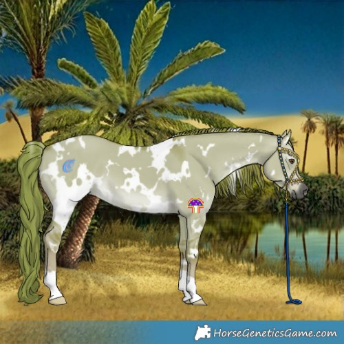 Horse Color:Gray Watercolor White Spotted Red Dun