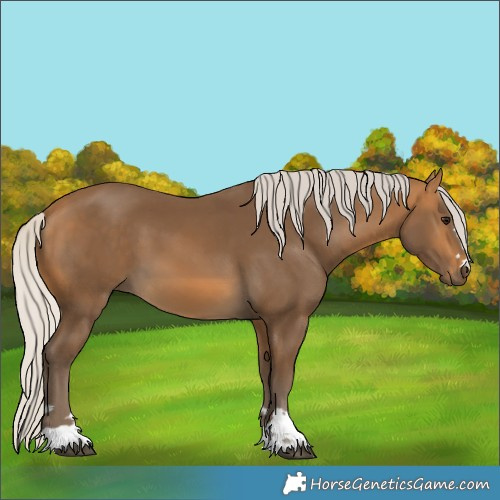 Horse Color:Silver Buckskin