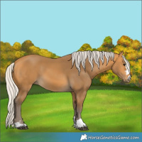 Horse Color:Silver Buckskin