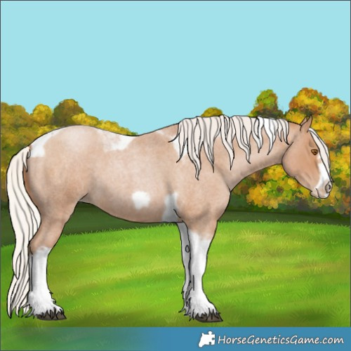 Horse Color:Silver Blue Roan Pearl Tobiano Frame
