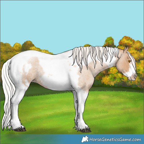 Horse Color:Silver Blue Roan Pearl Tobiano Frame