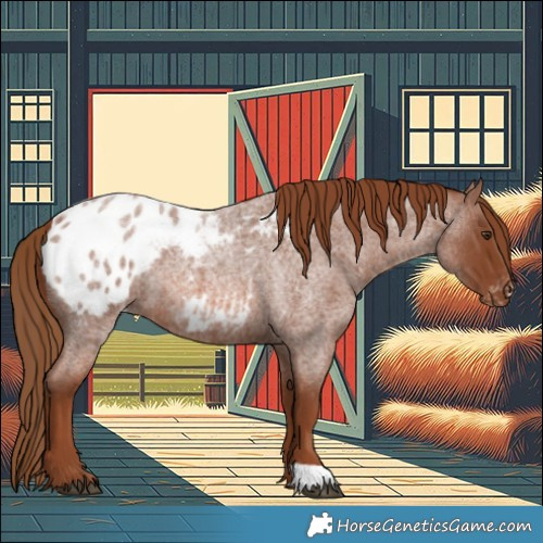 Horse Color:Red Roan Blanket 