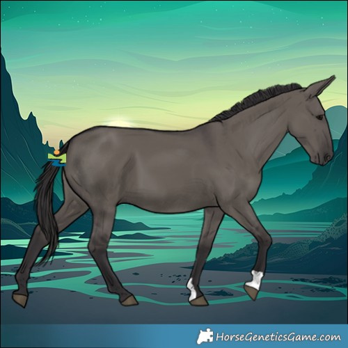 Horse Color:Smoky Grullo 