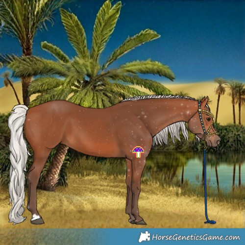 Horse Color:Silver Bay