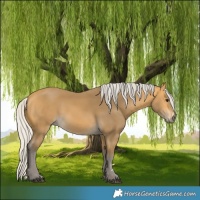 Horse Color:Silver Buckskin