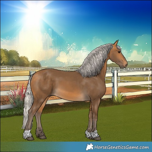 Horse Color:Silver Buckskin
