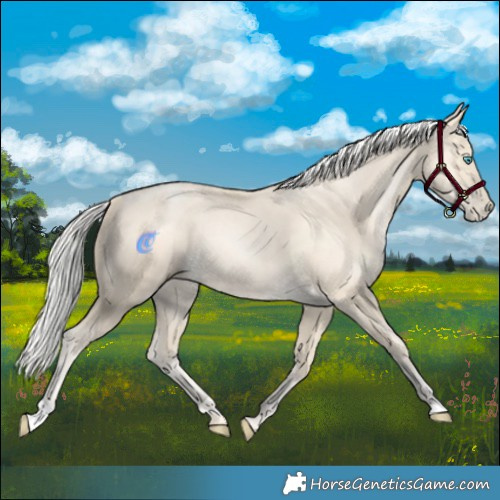 Horse Color:Silver Buckskin Pearl 